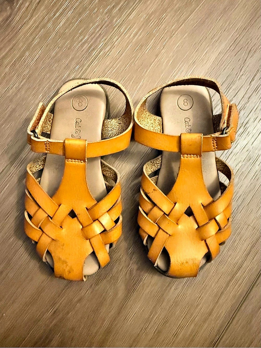 Cat & Jack Sandals ✨